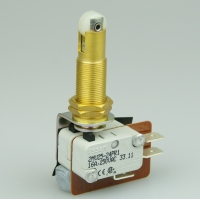 Essen 16a 2P 41mm roller Microswitch