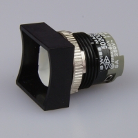 TH5 18 x 18mm straight bezel momentary Switch...