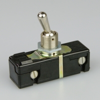 Eaton 2P 6a on-off Toggle Switch