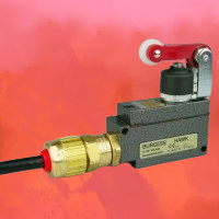 **see Steute EX12WHL-S**