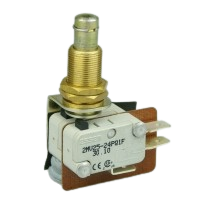 Essen 2MV2524PQ1 16A Microswitch with 31mm plunger