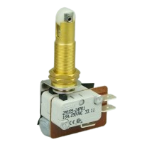 Essen 2MV25-24PR1 16A Microswitch with 41mm roller lever actuator