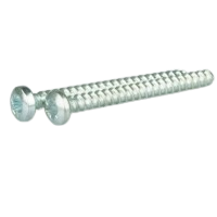 Saia-Burgess 30435 Screw (2 stack)