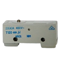 Saia X01 20A Microswitch with pin plunger actuator