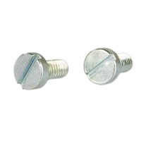 Saia-Burgess N16875 Earthing Screw