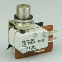 Essen 2MV2524F 16a Microswitch with quick-connect terminals