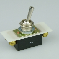 Toggle Switch
